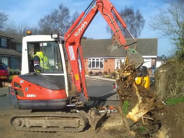 stump-grinding-services-11-kireth-ai
