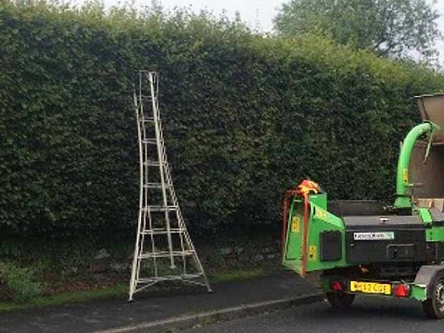 tree-surgery-services-9-kireth-ai
