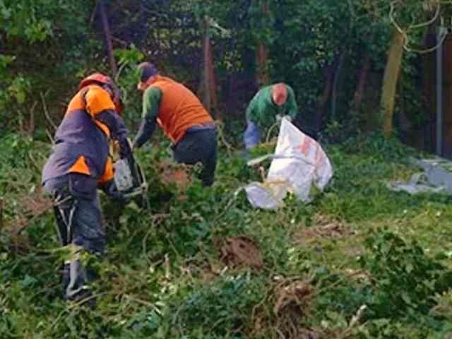 garden-clearance-services-8-kireth-ai