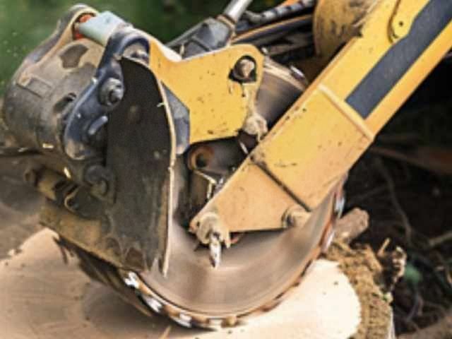 stump-grinding-services-5-kireth-ai