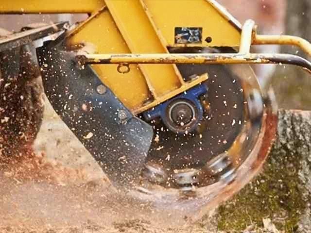 stump-grinding-services-2-kireth-ai