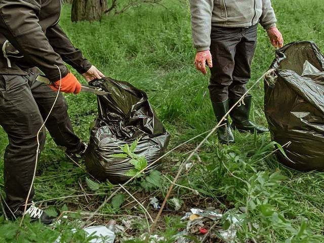 garden-clearance-services-9-kireth-ai