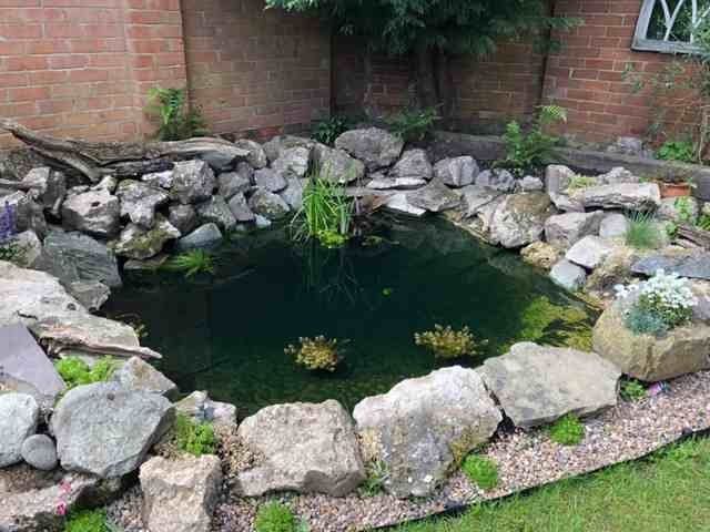 full-garden-renovation-services-8-kireth-ai