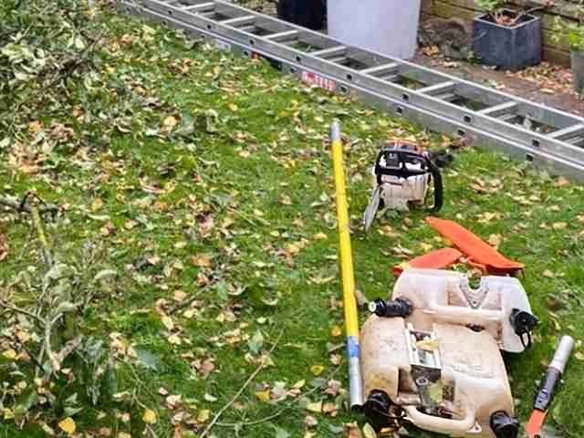 tree-surgery-services-4-kireth-ai