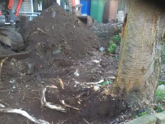 stump-grinding-services-13-kireth-ai